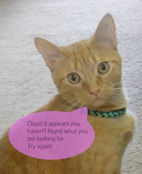 Ginger Cat giving 404 Message